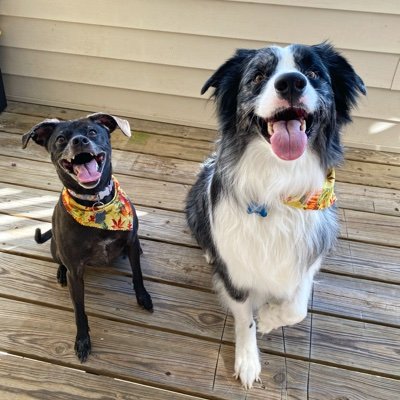 christinefhlove's profile picture. 