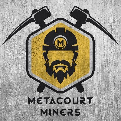 MetacourtM's profile picture. Bringing hardhats and buckets to a Swoops league near you.