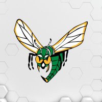 Edina Hornets(@edinahornets) 's Twitter Profileg