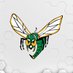 Edina Hornets (@edinahornets) Twitter profile photo