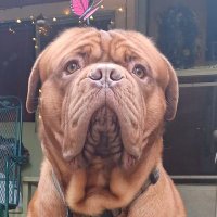 alx3464 (@alx3464) 's Twitter Profile