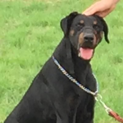 markheg2's profile picture. Ireland 🇮🇪Dublin