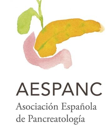 La Asociación Española de Pancreatología está dirigida a todos los profesionales que se dedican al estudio de la fisiología y enfermedades del páncreas.