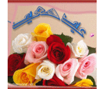 طارق (@0597684048) Twitter