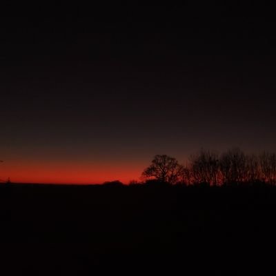 d_riame's profile picture. 