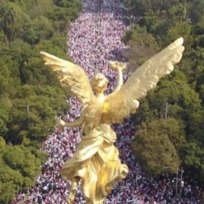 Activista de los Derechos de la Mujer, Feminista, lista para defender a mi país y mis instituciones 🌸🌸🌸🌸🌸