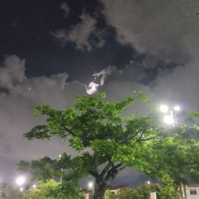 RSllaviero's profile picture. 