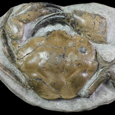 bzimsky775's profile picture. See what I Sea