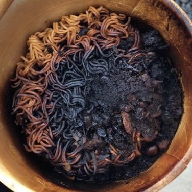 BurntRamen0's profile picture. and ya mother too