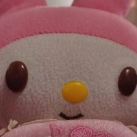 Kiya (@kiyarin_) 's Twitter Profile Photo