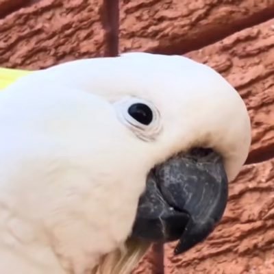 空集さんのプロフィール画像