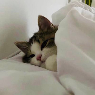 m3vi113's profile picture. your local dehydrated dead (inside) insomniac • BTS • sebastian stan • love and deepspace •  rafayel • no thoughts, head empty, just demon energy