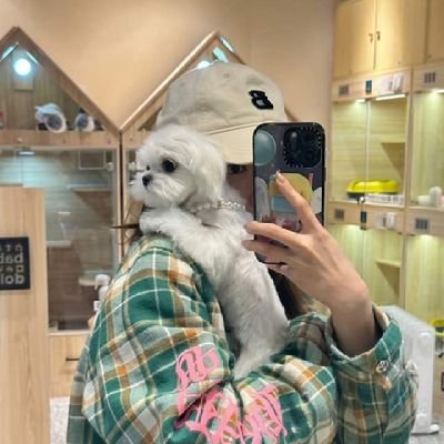 YG stan | TREASURE | cdrama, kdrama, variety show enthusiasts