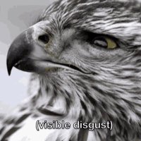 BirdBoiShturm (@boishturm) 's Twitter Profile