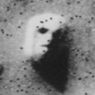 madaxeman5's profile picture. Moi カペリーヌに改名しました。