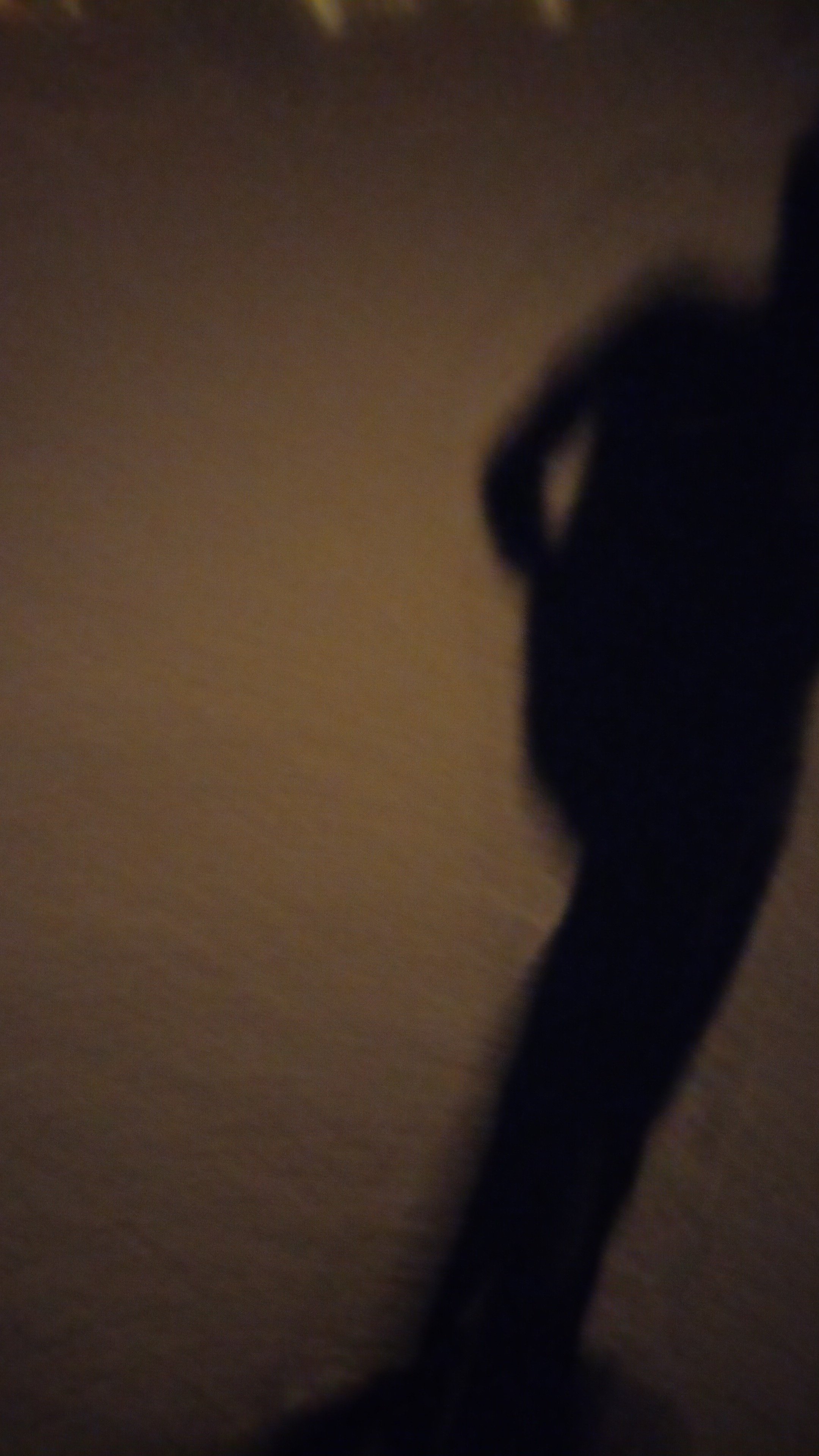 Kvnadtma's profile picture. do you?