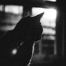 19nbfdjngr's profile picture. 