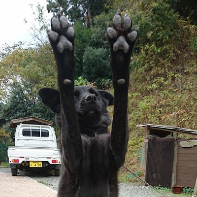 福岡 
プロテインが欲しい