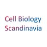 SwedishCellBio's profile picture. We invite both prominent and upcoming Nordic researchers in Cell Biology to present their work to colleagues worldwide.