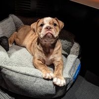 Cash (@cashotr) 's Twitter Profile Photo