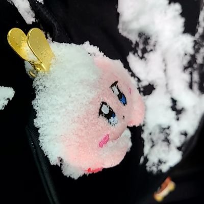 Raiさんのプロフィール画像