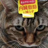 うにお (@gorukamisama) 's Twitter Profile