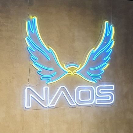 CEO | Helping people achieve their dreams @NAOSesports | Equipping gamers with affordable premium peripherals @MTechLEVI

Nijkirsten's property