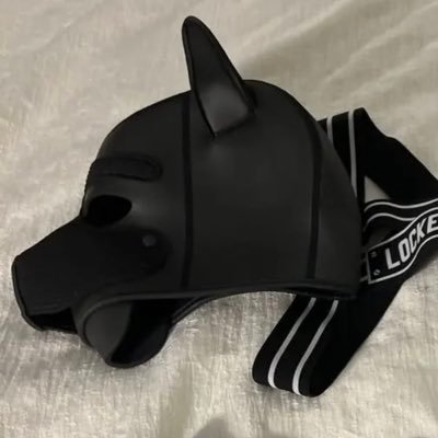 puppy that NEEDS a Trainer to hold my leash and KH, until then i have the key, DM if you’re interested…I always want a 🦴(real or plastic) 👀masc or fem tops