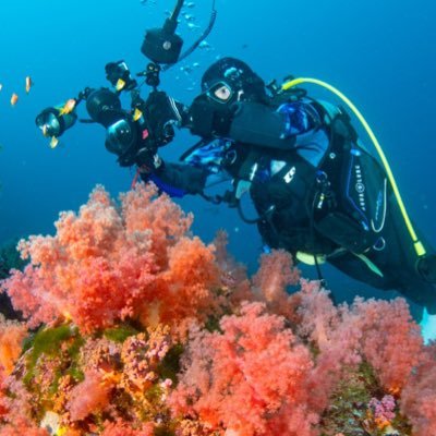 ダイビング情報収集用アカウント🐠 普段は千葉西川名熱海・伊東多め 行きたい→パラオ、粟国、小笠原、シミラン、モアルボアル、モルディブ タオ島📸 EOSR6M2 最近はカメラの悩み多め