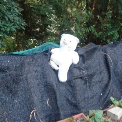 mocomocojon's profile picture. オレだよオレ！