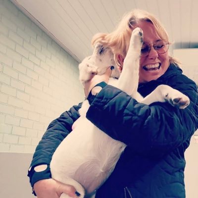 #gastouder voor #dcn #blindengeleidehonden. Tess is een golden retriever/labrador en wordt opgeleid tot blindengeleidehond. Voorganger Saar is aan ‘t werk.