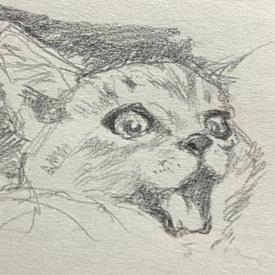 アーモンドさんのプロフィール画像