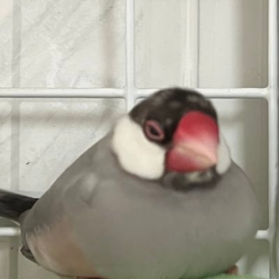 M’KAYさんのプロフィール画像