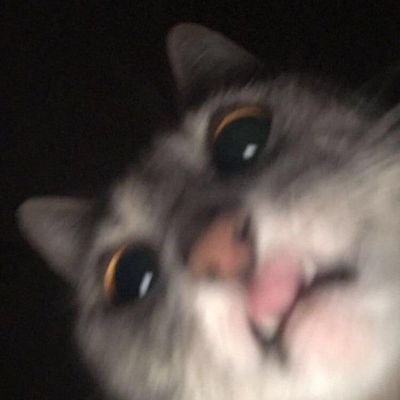 wowowiwowsabaw's profile picture. follow at ur own risk, makalat dito