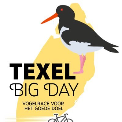 Vogelrace voor het goede doel op 11 mei 2024! #texelbigday Onderdeel van het Wadden Vogelfestival op 11 en 12 mei! #waddenvogelfestival