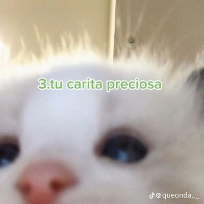 Posesiva, mamona, depresiva, pendeja, sabrosa, caliente, masoquista, loca, drogadicta, ninfomana,etc