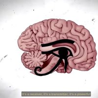 Hetheru 𓂀 𓋹 𓁈 (@alin144965281) 's Twitter Profile