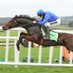 Today's Horse Info (@todayshorseinf0) Twitter profile photo Today's Horse Info (@todayshorseinf0) Twitter profile photo