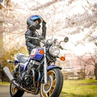 ほたて。 (@hotate_rc42) 's Twitter Profile