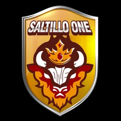 Saltillo ONE 🦬 Profile