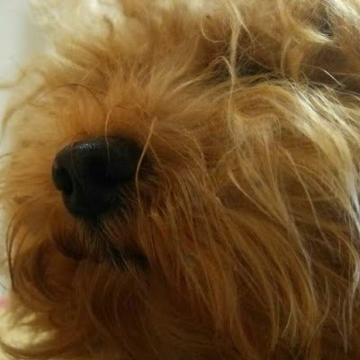 本アカウントが何故かアカウント凍結していました
なのでこのアカウントであるサブアカウントでフォローなどします
再び本アカウントにログイン出来なくなりました7月23日なう(2025/07/23 18:32:03)現在
なので本アカウントなおるまでこちらでよろしくお願いします