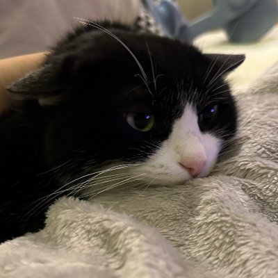 Putaoさんのプロフィール画像