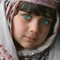 DUEWA (@duefa1) 's Twitter Profile