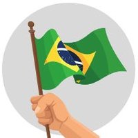 VOZ DO POVO 🇧🇷(@vozdopovobrazil) 's Twitter Profile Photo