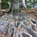 Herbert Blank - @herbertblank - Twitter