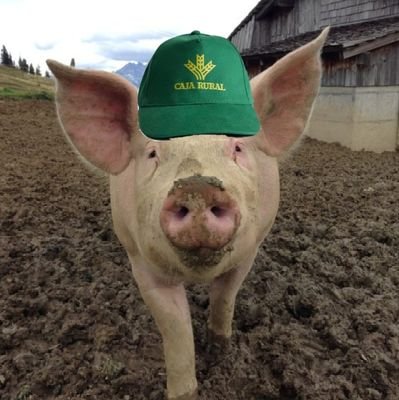 Gorrinez1's profile picture. by Lol