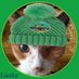 Lucky๐ธ๐๐ (@lucky_tortie) Twitter profile photo Lucky๐ธ๐๐ (@lucky_tortie) Twitter profile photo
