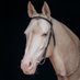 Güzel Günler Yakındır (@gunler_nd) Twitter profile photo Güzel Günler Yakındır (@gunler_nd) Twitter profile photo