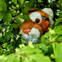 A Plush Tiger(@a_plush_tiger) 's Twitter Profile Photo