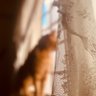 munira_massad's profile picture. صديقة القهوه ورفيقة الصباح ،،،، اترجم مشاعري شعراً ونثراً 🇸🇦